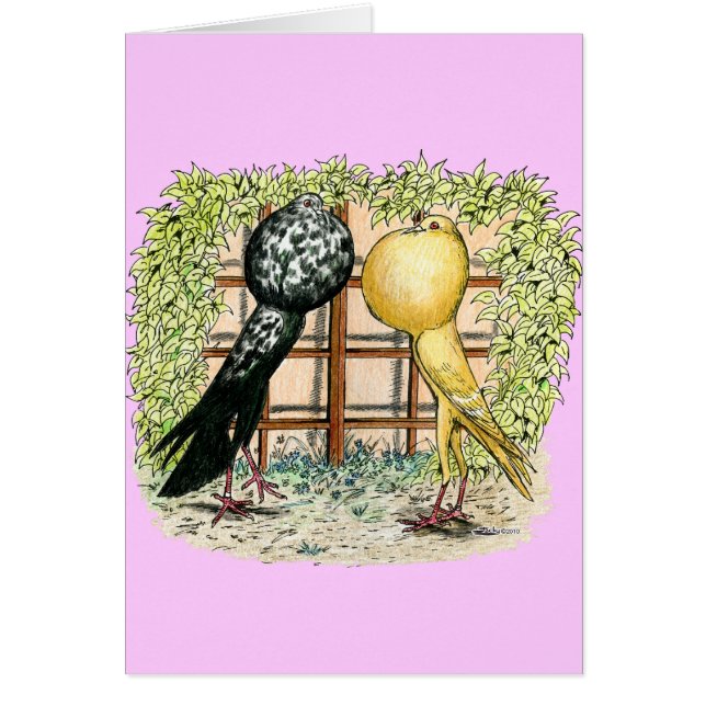 プアウター：ブランチ (正面)