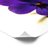 プウルルパンジーat Midnight by Verde フォトプリント (角)