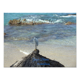 プエルトバラルタメキシコガルザブランカ フォトプリント           