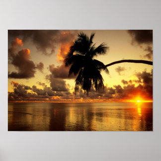 プエルトバラルタ ポスター