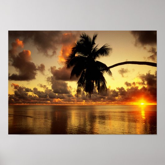 プエルトバラルタ ポスター (正面)