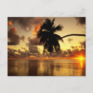 プエルトバラルタ ポストカード