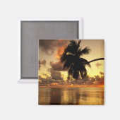 プエルトバラルタ マグネット (正面/裏面)