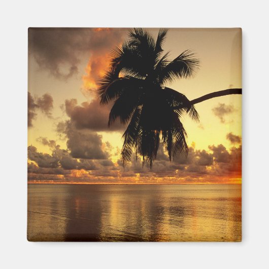 プエルトバラルタ マグネット (正面)