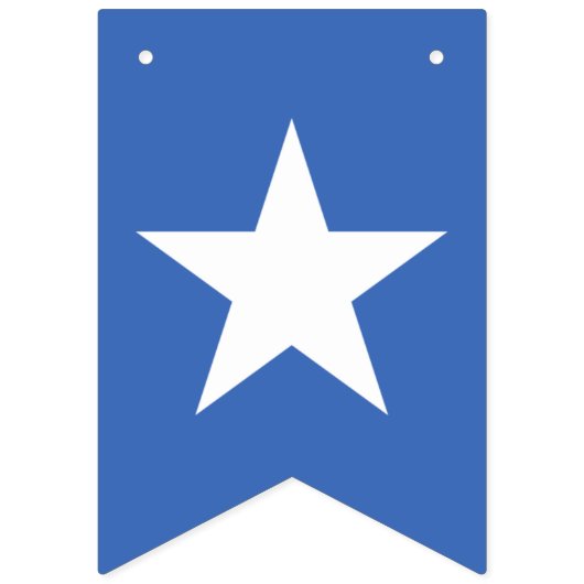 プエルトリコのパーティーの旗 バンティングフラッグ (第1の旗)