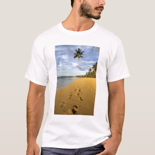 プエルトリコのビーチ Tシャツ (正面)