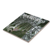 プエルトリコの雨林タワーの写真の記念品 タイル (側面)