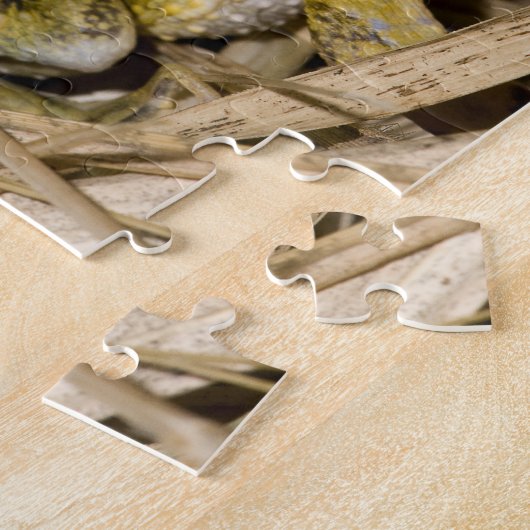 プエルトリコの頂点に達されたヒキガエル ジグソーパズル (側面)