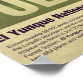 プエルトリコへの旅行:エルユンケ ポスター (角)