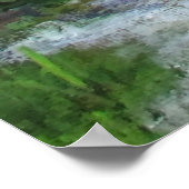 プエルトリコカリブのフラムボーヤの木 ポスター (角)