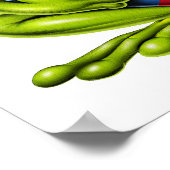 プエルトリコキカエル ポスター (角)