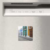 プエルトリコハウシズ マグネット (インサイチュ (食洗機))