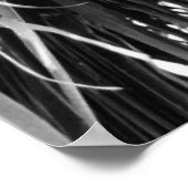 プエルトリコパーム |ポスター ポスター (角)