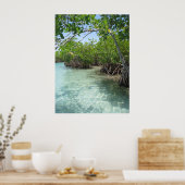 プエルトリコ写真 ポスター (キッチン)