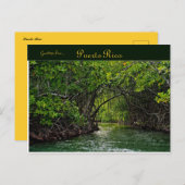 プエルトリコ川 ポストカード (正面/裏面)