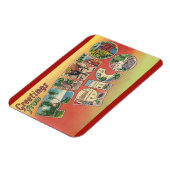 プエルトリコ磁石 マグネット (左側)