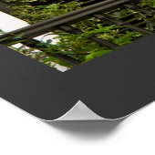 プエルトリコ緑のアーキテクチスペインのュウィンドウ ポスター (角)