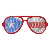 プエルトリコ アビエーターサングラス (正面)