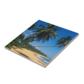 プエルトリコ、イスラヴェルデ、ヤシの木 タイル (側面)