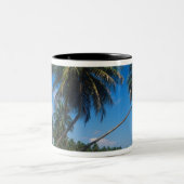 プエルトリコ、イスラヴェルデ、ヤシの木。 ツートーンマグカップ (中央)
