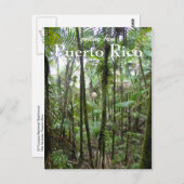 プエルトリコ・エルユンケ ポストカード (正面/裏面)