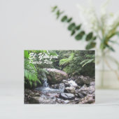 プエルトリコ・エルユンケ ポストカード (スタンド正面)