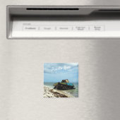 プエルトリコ，カレーブラ，プラヤフラメンコ マグネット (インサイチュ (食洗機))