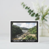 プエルトリコ・コメリオ ポストカード (スタンド正面)