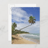 プエルトリコ。トレパルミタスビーチプエルトリコ ポストカード (正面/裏面)