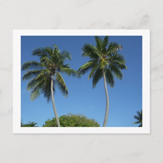 プエルトリコ ポストカード (正面)