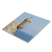 プエルトリコ、古いサンファンのEl Morroのセクション タイル (側面)