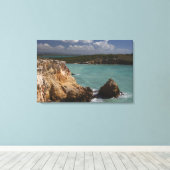 プエルトリコ、西海岸、カボロホ、海岸線2 キャンバスプリント (インサイチュ (ウッドフロア))