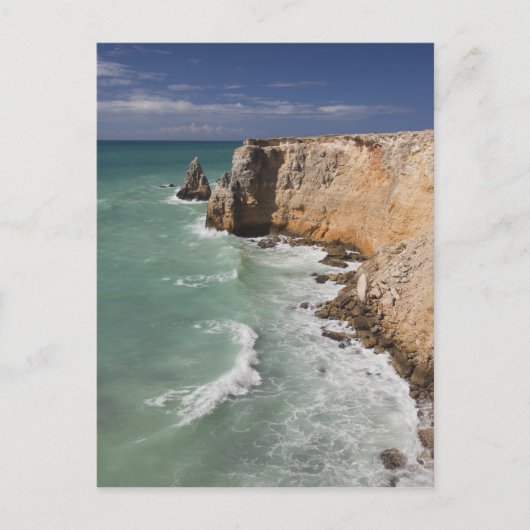 プエルトリコ、西海岸、カボロホ、海岸線 ポストカード (正面)