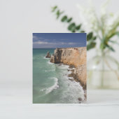 プエルトリコ、西海岸、カボロホ、海岸線 ポストカード (スタンド正面)