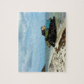 プエルトリコ、CulebraのPlayaのフラメンコ ジグソーパズル (縦)