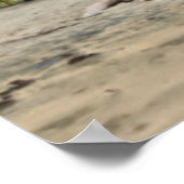 プエルトヴィエホビーチ ポスター (角)