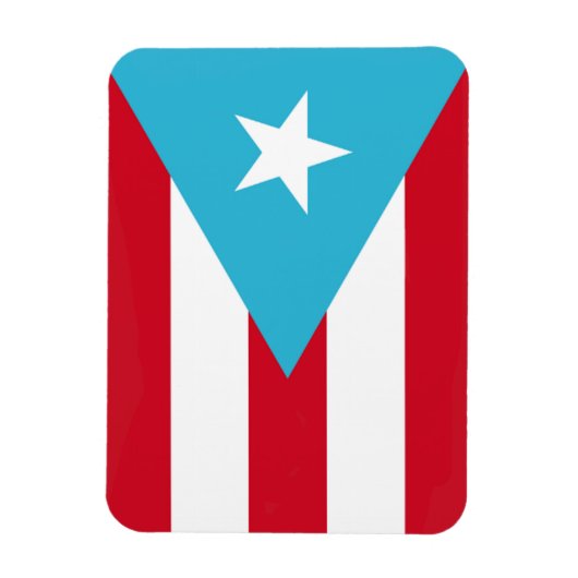 プエルト州旗 マグネット (縦)