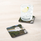 プエルト·イグアス、アルゼンチン。息をのむような コースター (右側)