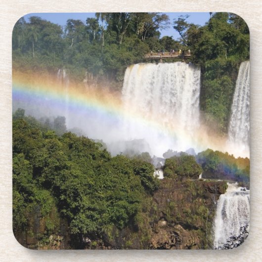 プエルト·イグアス、アルゼンチン。息をのむような コースター (正面)