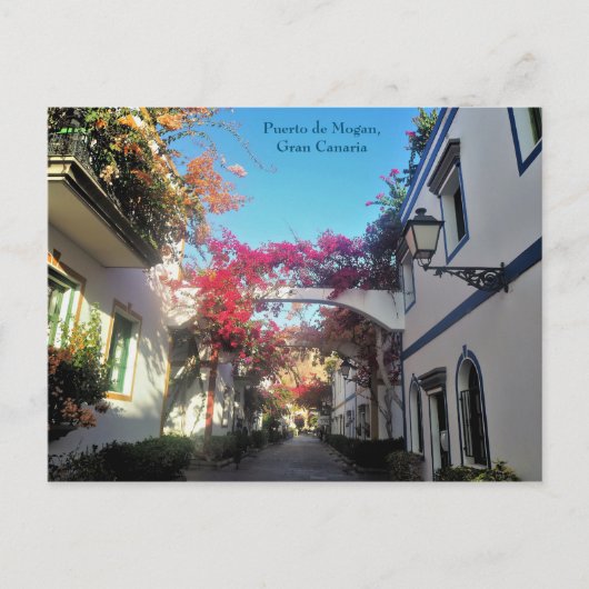 プエルト・デ・モガン，グランカナリア，ポストカード ポストカード (正面)