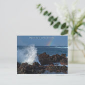 プエルト・デ・ラ・クルス、テネリフェ、ポストカード ポストカード (スタンド正面)