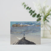 プエルト・バヤルタ, メキシコ。 ガルサ・ブランカ ポストカード (スタンド正面)