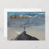 プエルト・バヤルタ, メキシコ。 ガルサ・ブランカ ポストカード (正面/裏面)