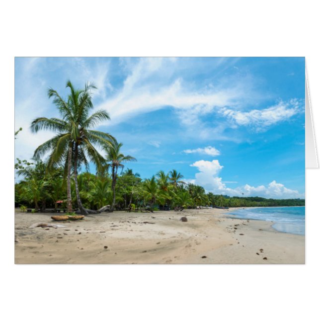 プエルトViejoのビーチ (正面横)