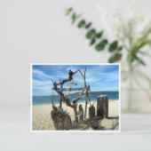 プカビーチ彫刻 ポストカード (スタンド正面)