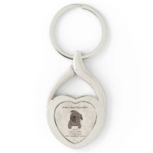 プガッチノのかわいい犬のプグに入っているもの