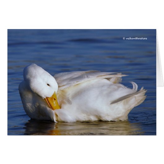 プキングダックが太陽のモナリザスマイルに微笑み (正面横)