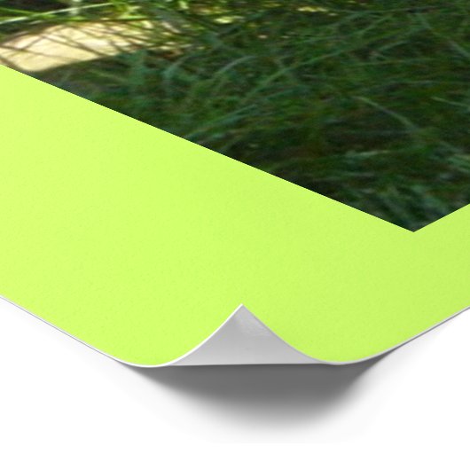 プグの日 ポスター (角)