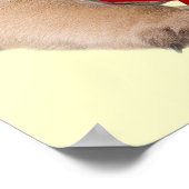 プグアクリスマススタープリント ポスター (角)