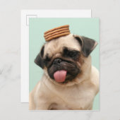 プグウィングトリート ポストカード (正面/裏面)